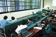 Cổ phiếu cao su đồng loạt tăng giá
